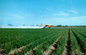 Airplane Crop Duster In South Texas