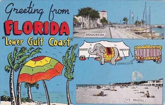 Greetings From Florida Lower Gulf Coast 1951