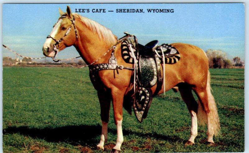 SHERIDAN, Wyoming WY  Roadside LEE'S CAFE Golden Palomino Horse  c1950s Postcard