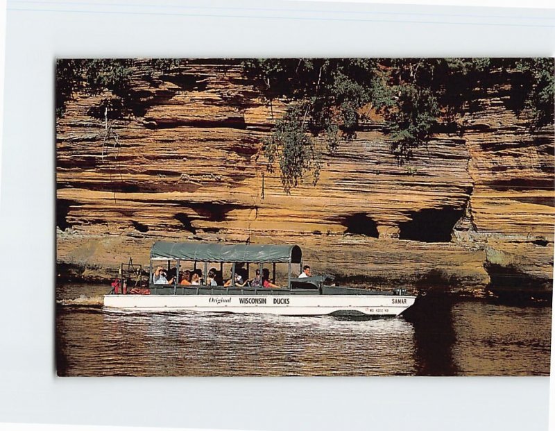 Postcard Duck And Sandstone Shoreline, Lower Dells of the Wisconsin River, WI