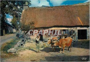 Postcard Modern Limousin Farm thatched
