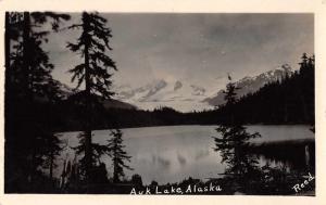 Auk Lake Alaska Scenic View Real Photo Antique Postcard J46289