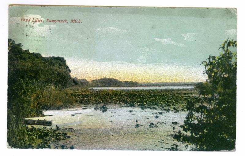 Saugatuck, Michigan to Chicago, Illinois 1911 used Postcard, Pond Lilies