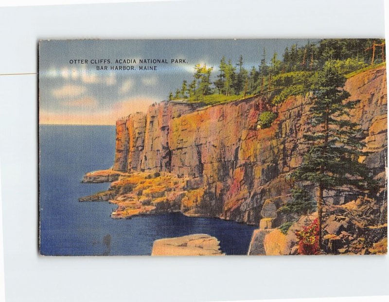 Postcard Otter Cliffs Acadia National Park Bar Harbor Maine USA
