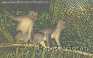 monkey Jungle, Miami Florida USA