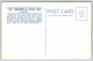 Greenville Texas~Junior High School~Chamber Commerce Back !~Linen Postcard