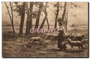 Old Postcard Musee du Luxembourg Henry Lerolle In the countryside Sheep Sheep