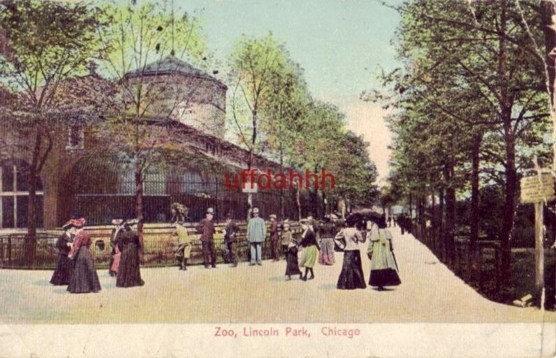 pre-1907 ZOO, LINCOLN PARK. CHICAGO, IL 1906