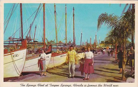Florida Tarpon Springs Sponge Fleet At Dock One Of The Many Attractions Of Ta...