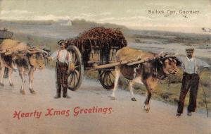 BR98373 cow on chariot bullock cart guernsey   uk