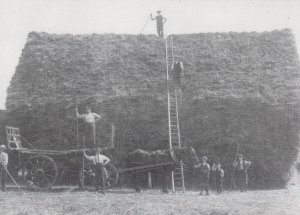 Flintham Nottingham Farm by WW1 Shop Keeper Card