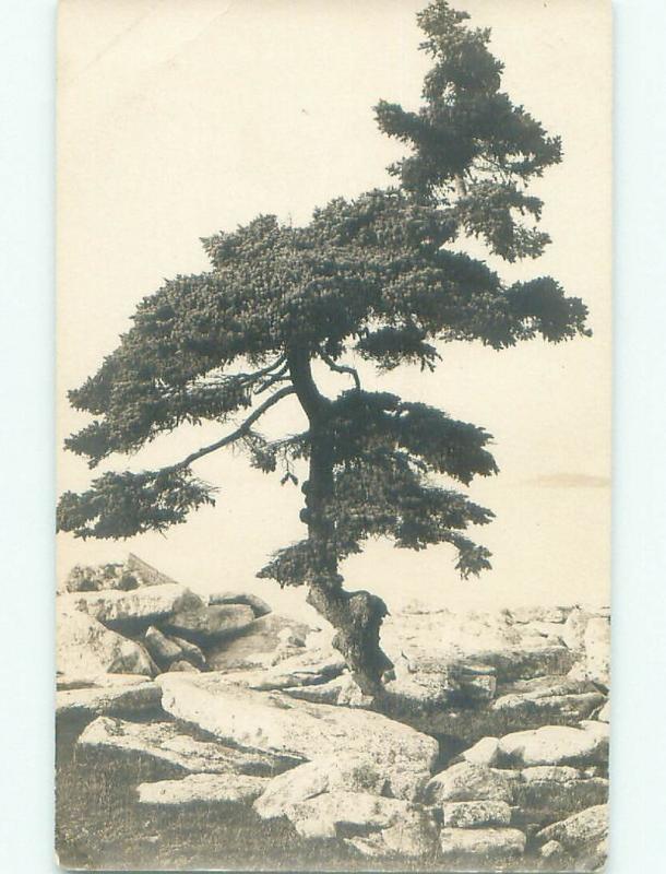 Pre-1949 rppc CARD WRITER SAYS THIS IS SOUTHPORT Near Boothbay Harbor ME i9728