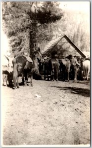 Horses in Ranch Real Photo RPPC Postcard