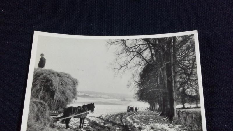 Senior Service Cigarette Card No 17 Our Countryside Winter Days