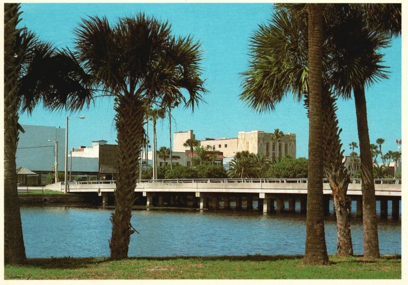 Postcard Palms Along The Halifax River Daytona Beach Florida Russo Sales Co.