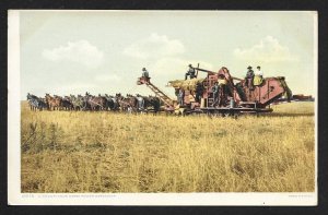 Men & 1 Woman on 24 Horse Harvester Unused c1910s