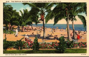 Florida Miami Beach Tropical Bathing Beach At Lummus Park 1940 Curteich