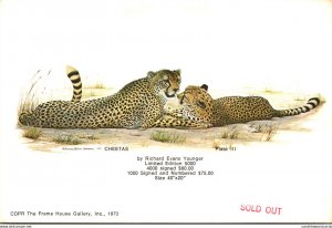 Cheetahs By Richard Evans Younger