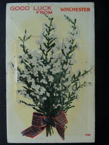 Hampshire Novelty Pull-out SPRIG OF HEATHER from WINCHESTER c1914 Postcard