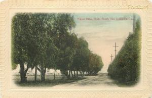 CA, San Francisco, California, Sixth Street, Pepper Drive, Newman Postcard