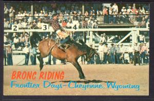 Bronc Riding,Frontier Days,Cheyenne,WY