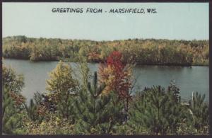 Greetings From Marshfield,WI Postcard