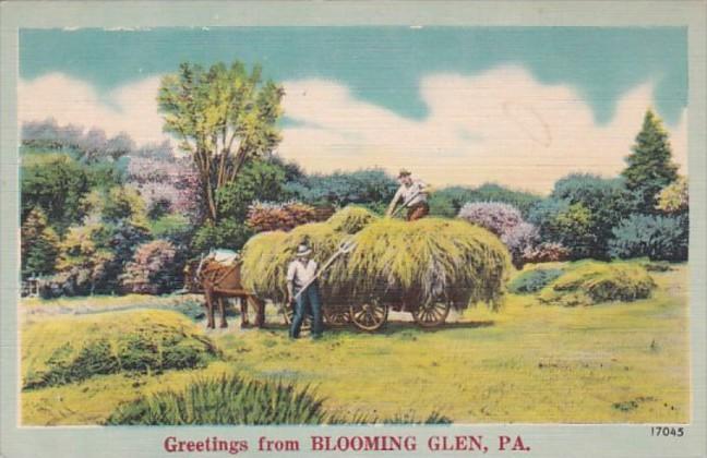 Greetings From Blooming Glen Pennsylvania Hay Making Scene