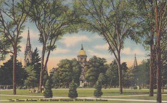 Indiana Notre Dame The Tree Arches Notre Dame Campus