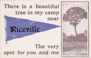 Iowa Riceville There Is A Beautiful Tree In My Camp 1913  Pennant Series