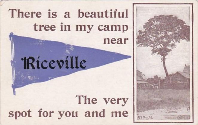 Iowa Riceville There Is A Beautiful Tree In My Camp 1913  Pennant Series