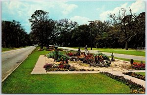 VINTAGE POSTCARD BEAUTIFUL FLOWERS ALONG THE HIGHWAY AT JEKYLL ISLAND GEORGIA