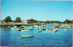 Hallowe'en Municipal Boat Basin, Cummings Park, Stamford CT Vintage Postcard H14