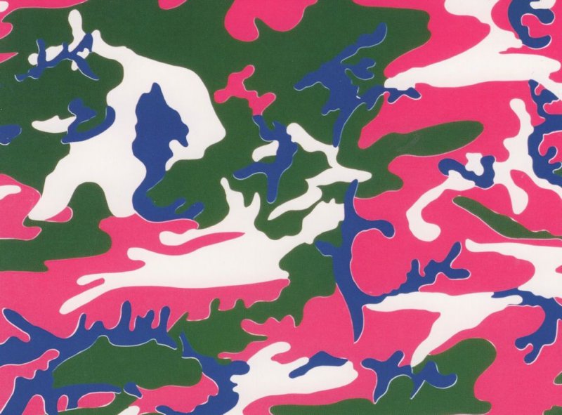 Andy Warhol Art Print Camouflage Pink Green Blue Painting Postcard