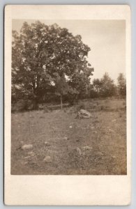 Large Tree Odd Rock Small Tree Stone Walled Garden RPPC Postcard C23