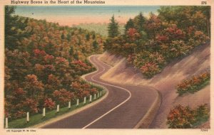 Vintage Postcard 1955 Highway Scene in the Heart of the Mountains TN