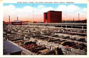 Nebraska Omaha The Union Stock Yards Live Stock Exchange