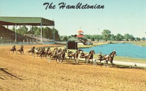 The Hambletonian, Du Quoin State Park - Illinois Postcard