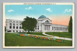 National Museum Washington DC Vintage Postcard