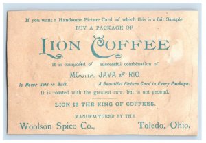 1880s Woolson Spice Co. Lion Coffee Cute Dog With Tambourine F105