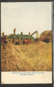 Threshing Machine Farming Manitoba Canada 1910 postcard
