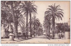 france Hyeres L'Avenue des Palmiers