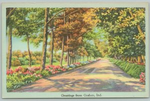 Goshen Indiana~Roadway Lined With Trees~1940s Linen Postcard