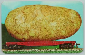 Idaho~Exaggerated Potato~Standard Chrome Postcard