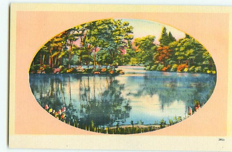 Vintage Postcard  Lake Forest Woodlands Steam Waterfall  # 1779