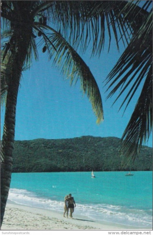 Barbados Beach Scene