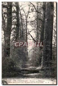 Old Postcard Chaville Meudon Forest Undergrowth near the pond Colin Porcher