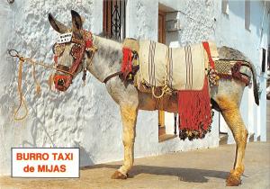 BG35396 burro taxi de mijas donkey spain types folklore