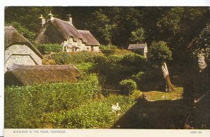 Devon Postcard - Buckland in The Moor - Dartmoor - Showing Houses   Q520