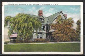 New York, Oyster Bay - Sagamore Hill - [NY-302]