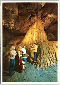 Postcard - The Caverns Of Natural Bridge, Virginia